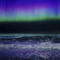 Immersive Delights at Arte M: A Serene Exploration