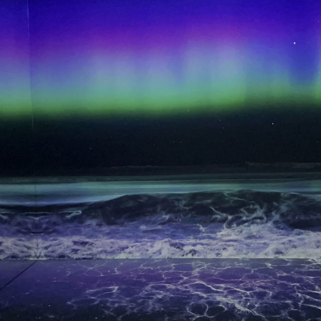 Immersive Delights at Arte M: A Serene Exploration