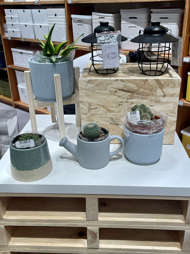 다이소애서 만든 리빙샵 오샤레 버전 스탠다드 프로젝트⭐️