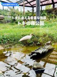【新潟県】トキ会える「トキの森公園」