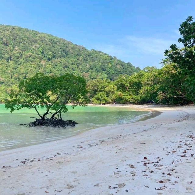 หมู่เกาะสุรินทร์
