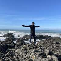 Great Trip at Kaikhoura