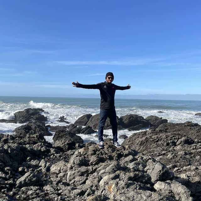 Great Trip at Kaikhoura