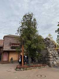 รีวิวโซน Fantasyland ดิสนีย์โตเกียว