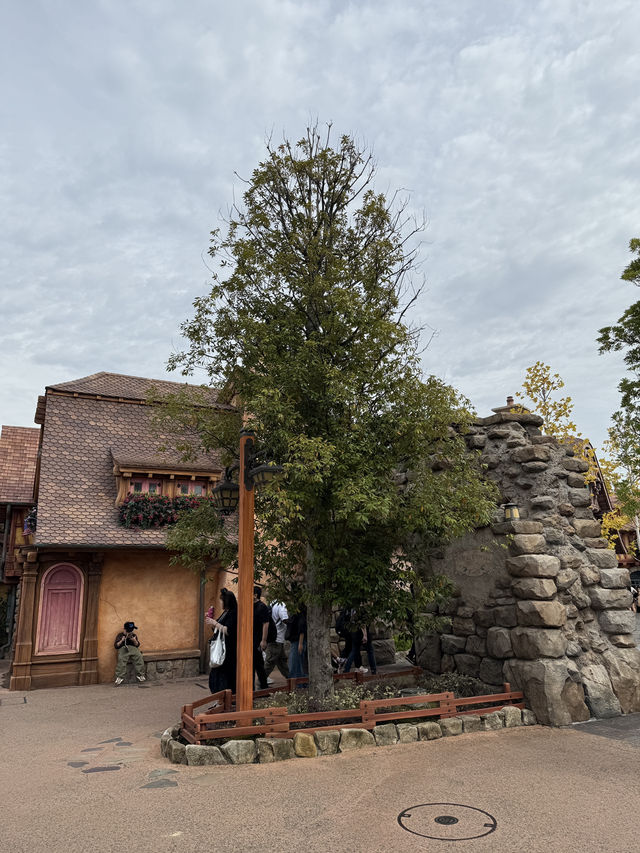 รีวิวโซน Fantasyland ดิสนีย์โตเกียว