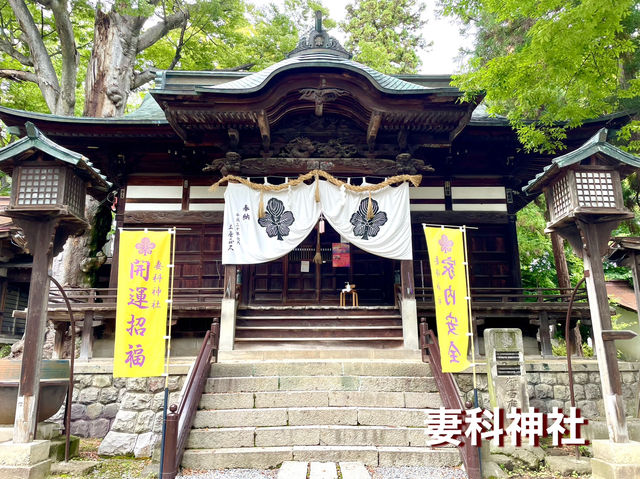 【長野県】境内の欅が見どころ！
