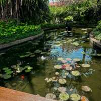 Tea Tree Spa Baruna