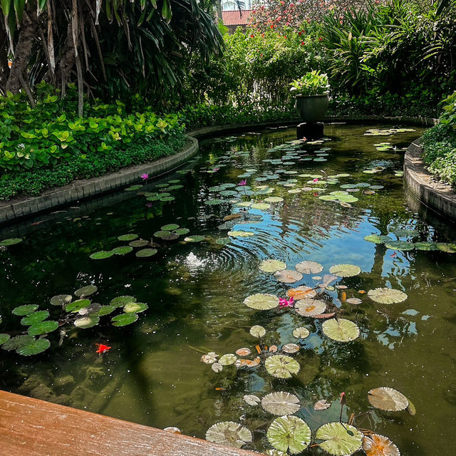 Tea Tree Spa Baruna