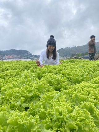 Strawberry Farm, Benguet ✨
