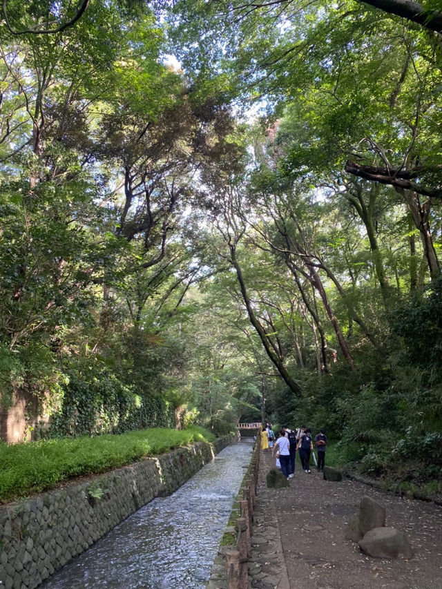 【世田谷区】都会を忘れる23区内唯一の自然渓谷🌳