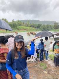 Pinnawala: School Field Trip 🇱🇰