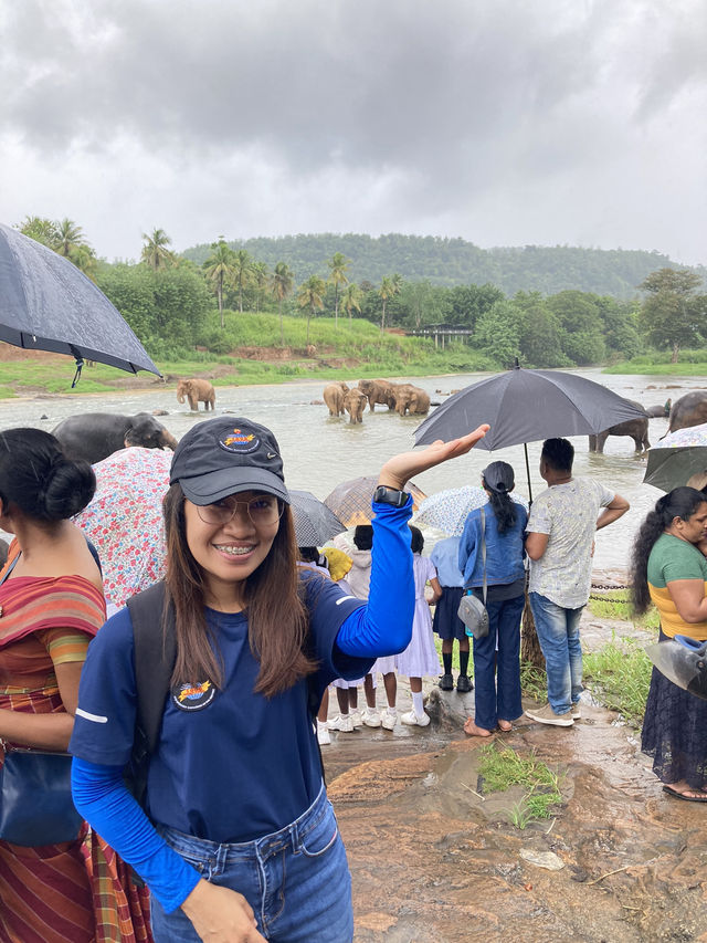 Pinnawala: School Field Trip 🇱🇰