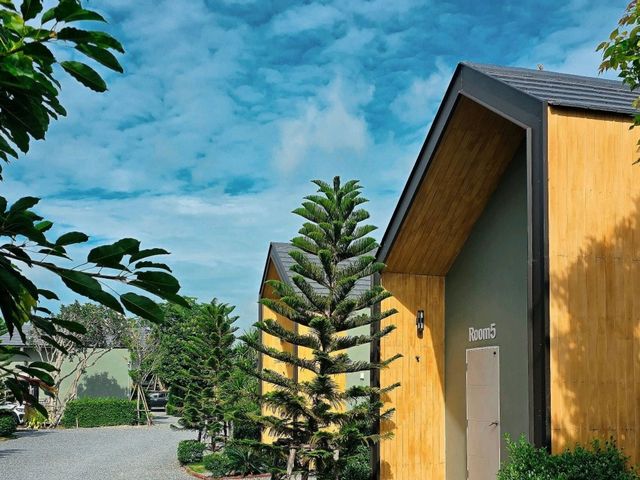 ที่พักท่ามกลางภูเขา ไร่อ้อย ธรรมชาติ 
