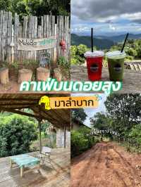 คาเฟ่บนดอยสูง มาลำบากคาเฟ่😅