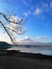 ชมวิวฟูจิหน้าหนาว ที่ริมทะเลสาบคะวะงุชิ 🗻🏞️