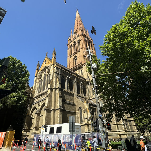 聖保羅座堂：墨爾本的宗教與建築瑰寶 ⛪✨