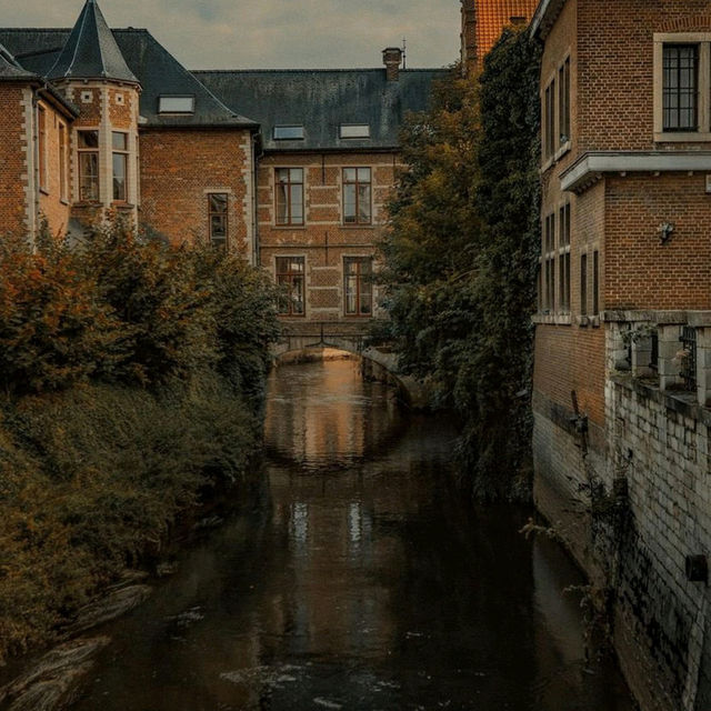 "Cultural Crossroads: Exploring Belgium, Poland and Italy"