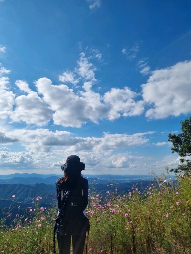 ❣️날 좋은 가을 등산데이트 하기 좋은 천안 산 추천, "광덕산"❣️