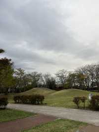 【軽井沢】遊具もターザンロープもある！紅葉が綺麗な緑地公園🍁
