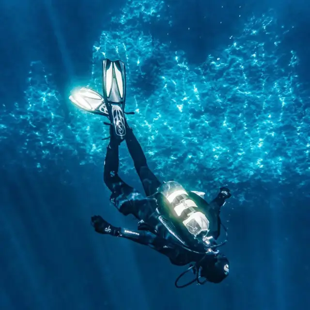 세포르나에서의 다이빙