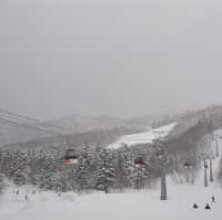 Kiroro Ski