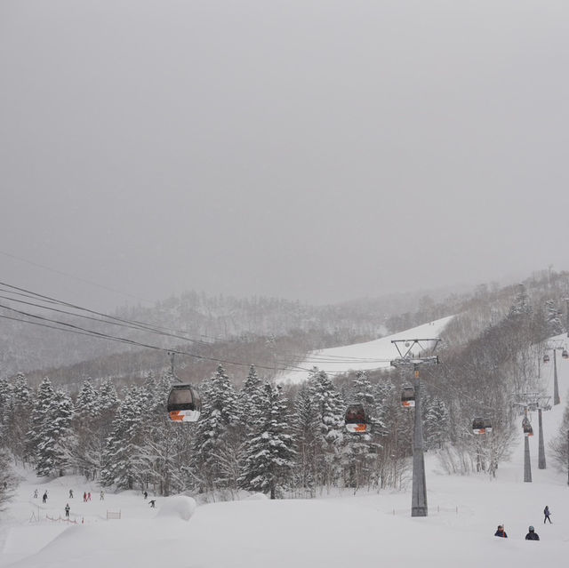 Kiroro Ski
