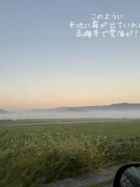 秋がチャンス！大観峰の雲海