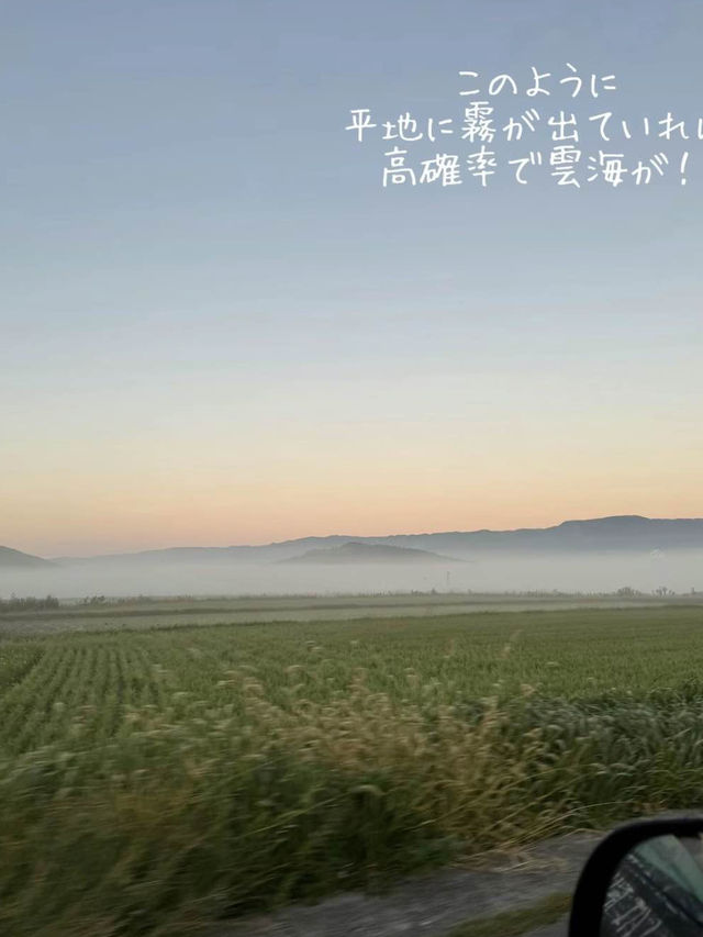 秋がチャンス！大観峰の雲海