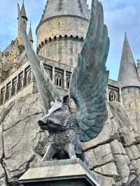 A Must Visit for Harry Potter Fans 🍺🪄