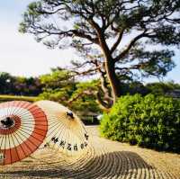 Autumn Magic: A Colorful Escape at Okayama Korakuen Garden!