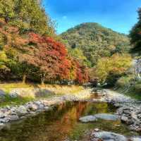단풍으로 물들어 자연경관이 아름다운 순창의 카페🍁