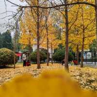 Catching the tail of autumn