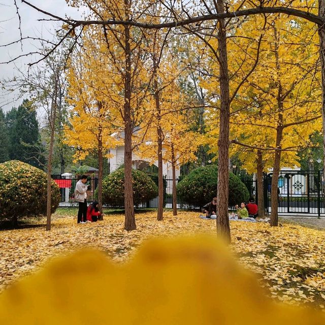 Catching the tail of autumn