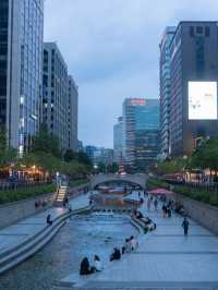 Discovering the Tranquility of Cheonggyecheon River