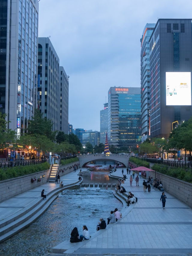 Discovering the Tranquility of Cheonggyecheon River