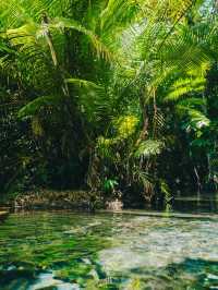 🏞️ พายคายัคสัมผัสธรรมชาติของคลองน้ำใส