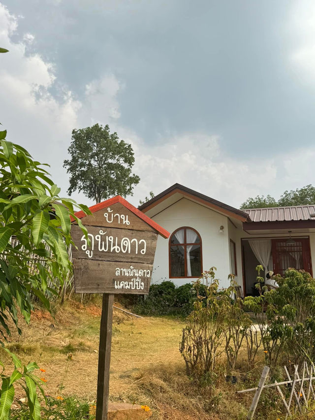ลานพันดาวแคมป์ปิ้ง | จ.เลย 🏡⛰️🌤️🐶
