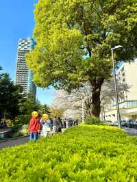 東京　東京観光　ミッドタウンガーデンの桜は最高だったぞ！