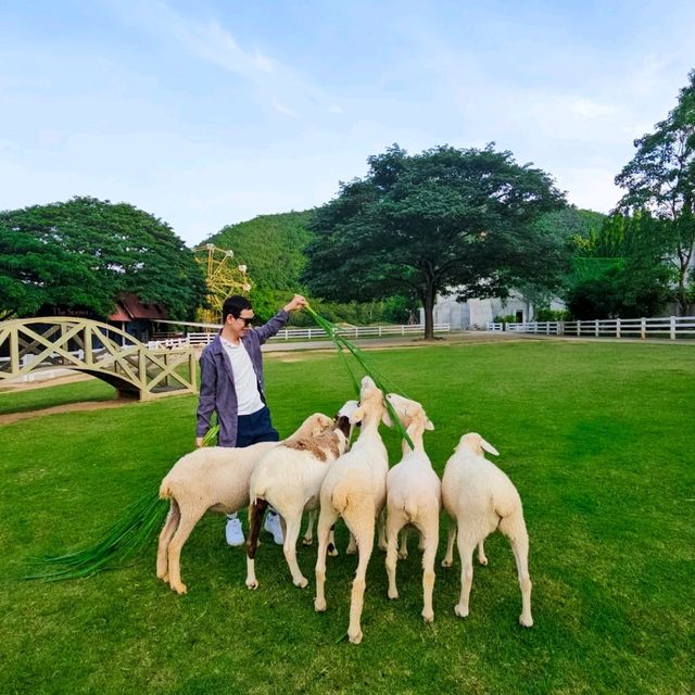The Scenery Vintage Farm 🐑✨
