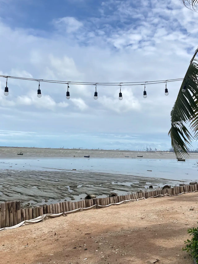 Golden Dragon Beach🏨🏖️