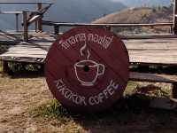 กิกกอคอคอฟฟี่ ร้านกาแฟบนดอย ชมพระอาทิตย์ตกสุดสวย