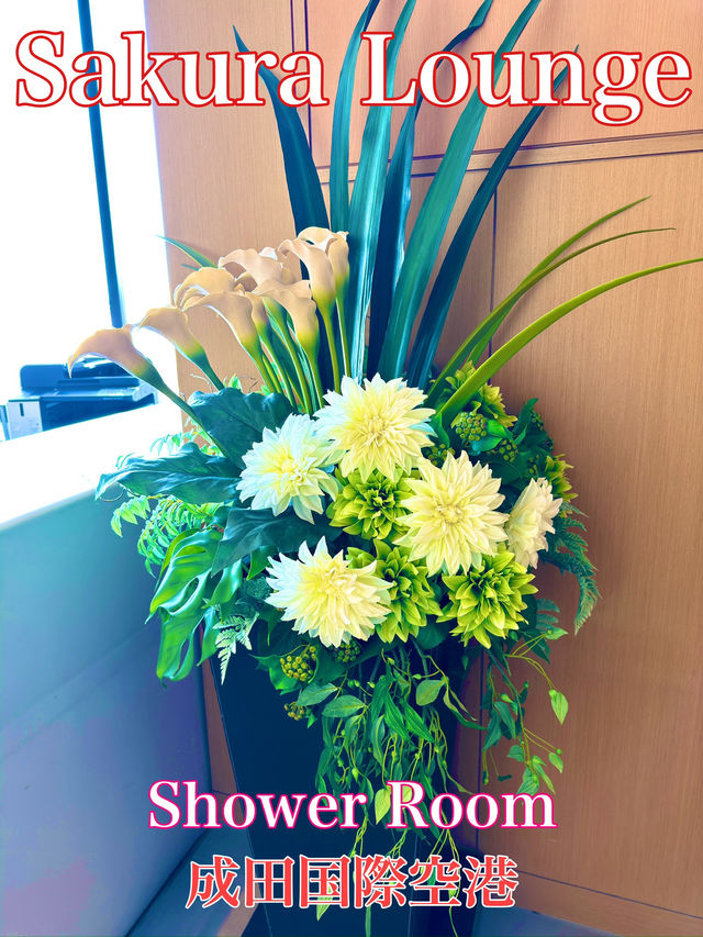 東京　東京観光　成田空港サクララウンジのshowerで快適フライトへ！