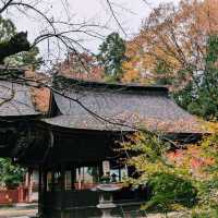 窪八幡神社(大井俣窪八幡神社)