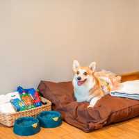 ที่พัก pet friendly ติดหาดหัวหิน