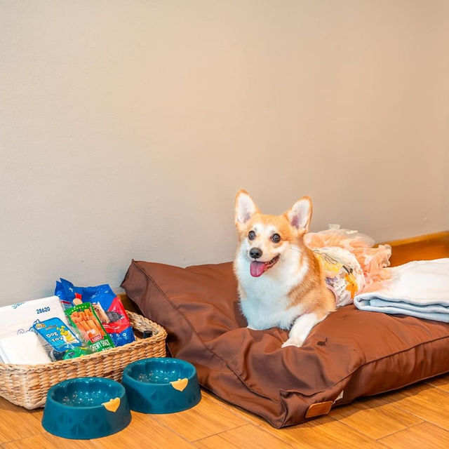 ที่พัก pet friendly ติดหาดหัวหิน