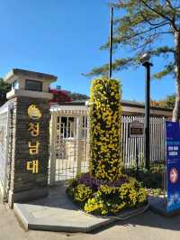 국화와 단풍을 같이 볼수있는 가을여행지