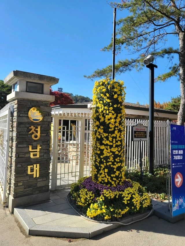 국화와 단풍을 같이 볼수있는 가을여행지