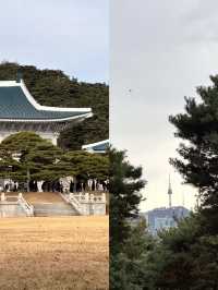 야외 데이트 필수코스 청와대 탐방🚶