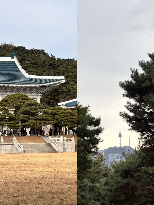 야외 데이트 필수코스 청와대 탐방🚶