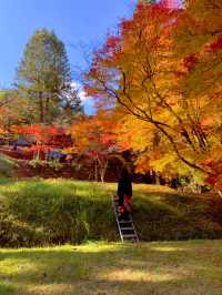 京都南丹の美しい紅葉🍁龍穏寺の秋🍁
